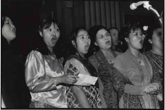 Immigrants: Indonesia
